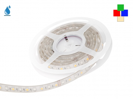 LED Stripe RGB-WW 24Vdc 17W/m 530lm/m 72LEDs/m IP67 5,0m 